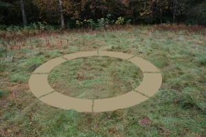 circle grass - close no white